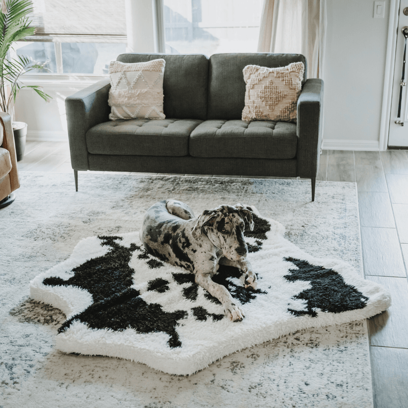 PupRug® Animal Print Memory Foam Dog Bed - Black Faux Cowhide