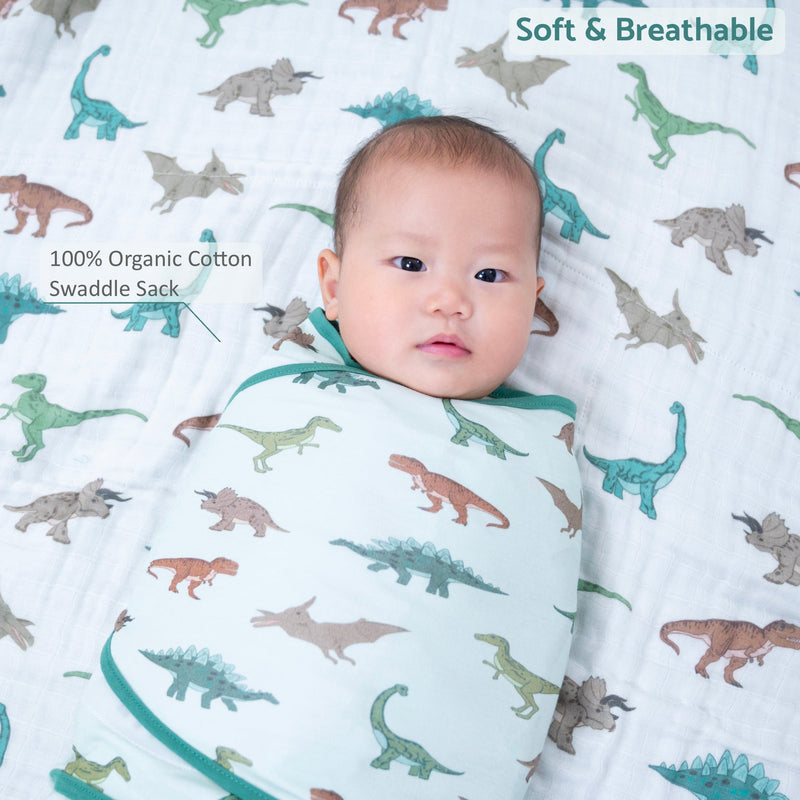 Have A T-rexcellent Day Baby Sleep Swaddle 100% Organic Cotton