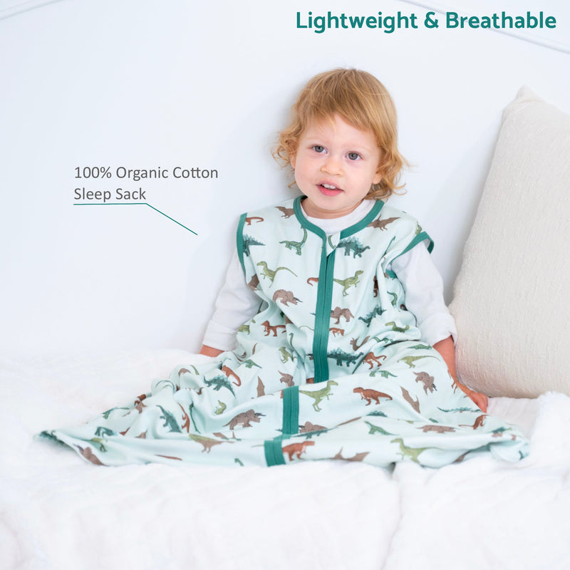 Have A T-rexcellent Day Baby Sleep Sack, 100% Organic Cotton
