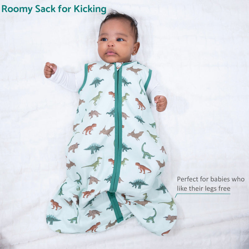 Have A T-rexcellent Day Baby Sleep Sack, 100% Organic Cotton