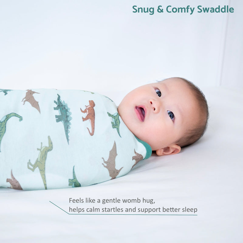 Have A T-rexcellent Day Baby Sleep Swaddle 100% Organic Cotton