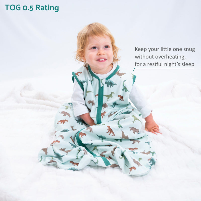 Have A T-rexcellent Day Baby Sleep Sack, 100% Organic Cotton