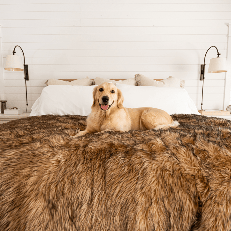PupProtector™ Waterproof Throw Blanket - Sable Tan