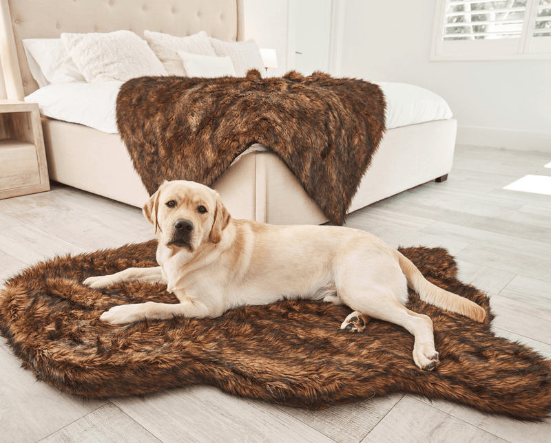 PupRug by Paw.com® Faux Fur Orthopedic Dog Bed - Curve Brown