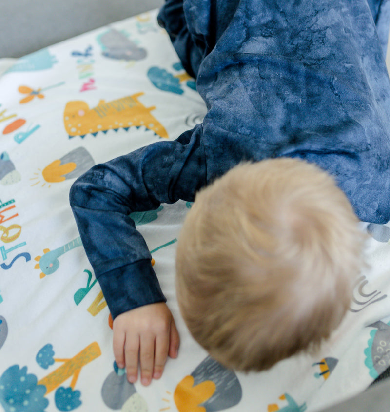 Dinoland Blue Minky Baby Blanket