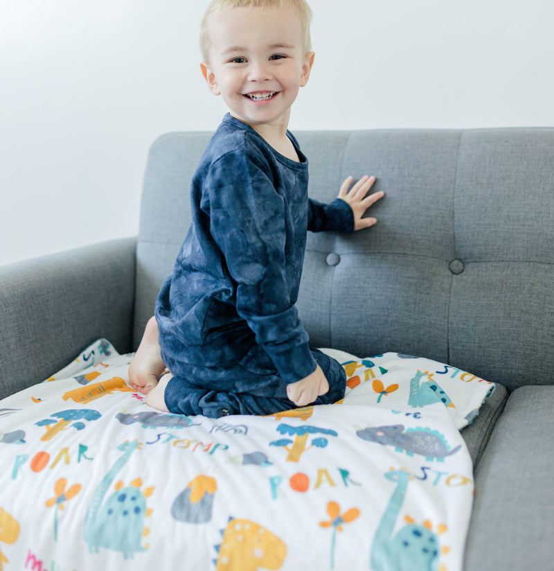 Dinoland Blue Minky Baby Blanket