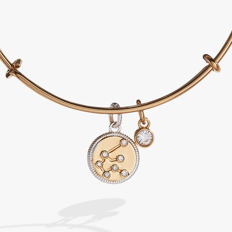 Aquarius Zodiac Charm Bangle