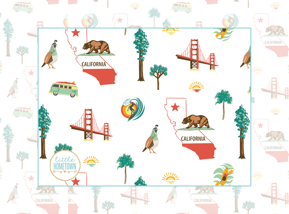 California Plush Throw Blanket 60x80