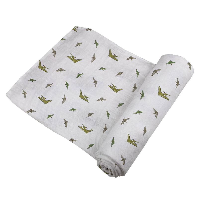 Pteranodon & Dino Feet Newcastle Blanket & Pteranodon Swaddle Gift Box Set